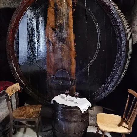 Ramonda Serbica- Peaceful Retreat In Sicevo Gorge * Nis