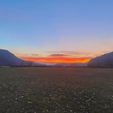 Ramonda Serbica- Peaceful Retreat In Sicevo Gorge *