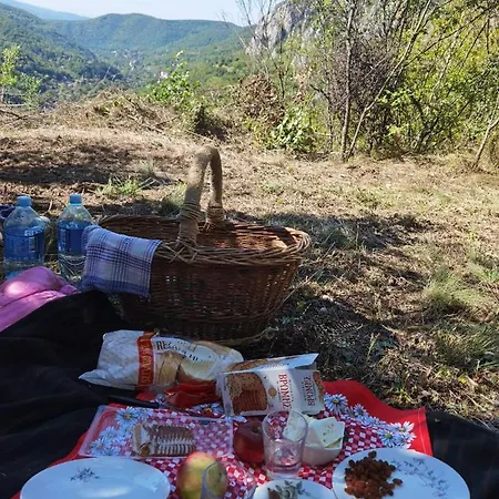Ramonda Serbica- Peaceful Retreat In Sicevo Gorge Ni
