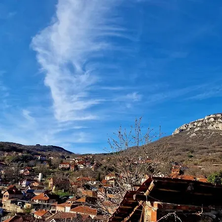 Ramonda Serbica- Peaceful Retreat In Sicevo Gorge *