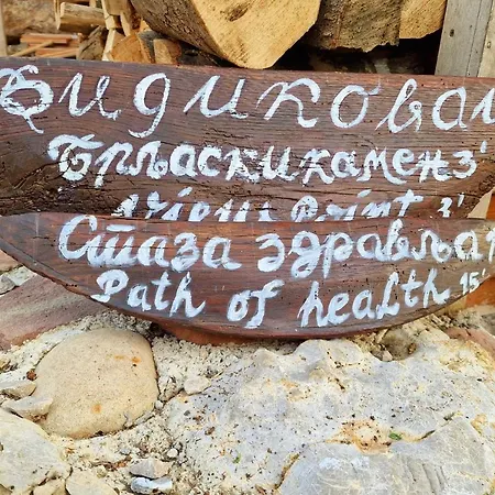 Ramonda Serbica- Peaceful Retreat In Sicevo Gorge *