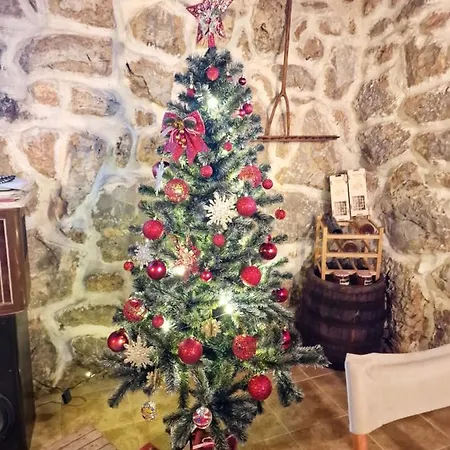 -guest House -ramonda Serbika
