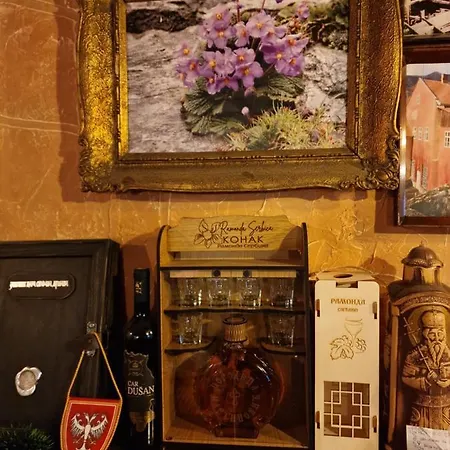 -guest House -ramonda Serbika Country house *