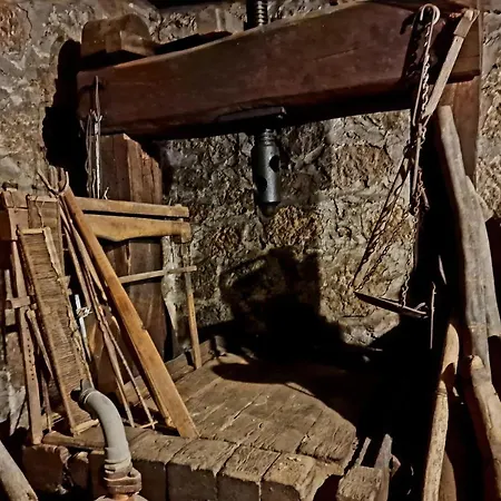 Ramonda Serbica- Peaceful Retreat In Sicevo Gorge * Ni