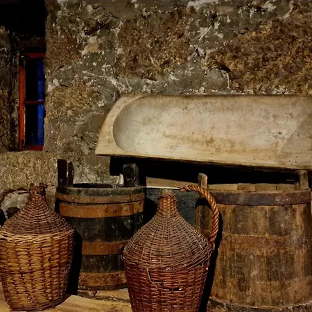 Ramonda Serbica- Peaceful Retreat In Sicevo Gorge * Ni