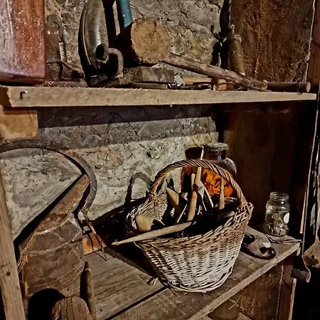 Ramonda Serbica- Peaceful Retreat In Sicevo Gorge * Ni