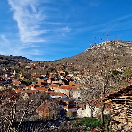 Ramonda Serbica- Peaceful Retreat In Sicevo Gorge Ni