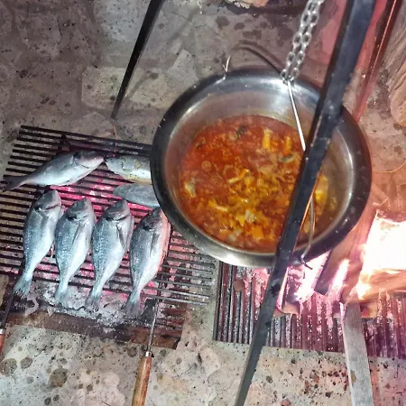 Ramonda Serbica- Peaceful Retreat In Sicevo Gorge בית כפרי