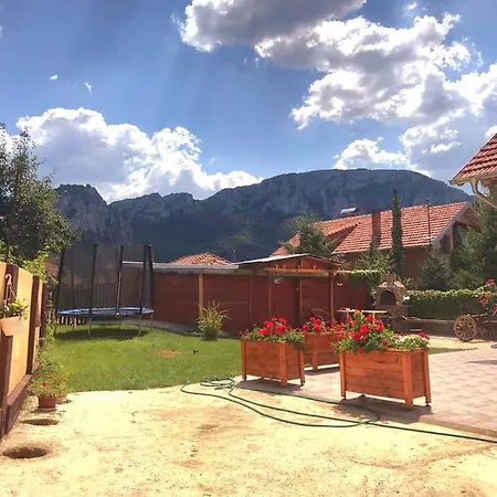 -guest House -ramonda Serbika Country house