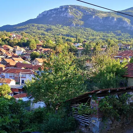 -guest House -ramonda Serbika Country house *