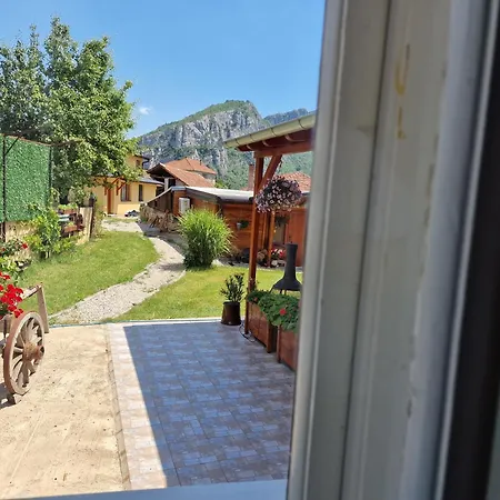 Ramonda Serbica- Peaceful Retreat In Sicevo Gorge *