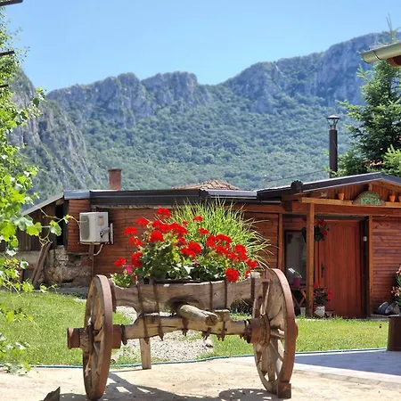 -guest House -ramonda Serbika