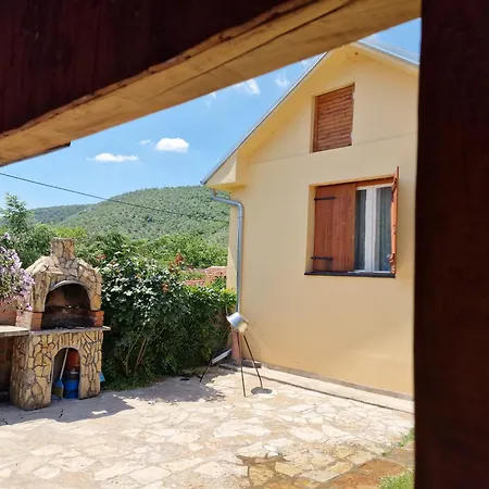 Ramonda Serbica- Peaceful Retreat In Sicevo Gorge *