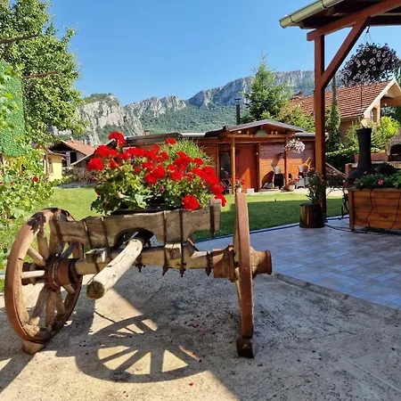 Casa di campagna Ramonda Serbica- Peaceful Retreat In Sicevo Gorge