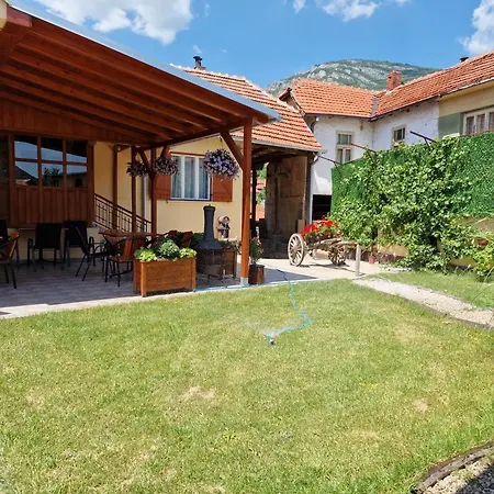 Ramonda Serbica- Peaceful Retreat In Sicevo Gorge *