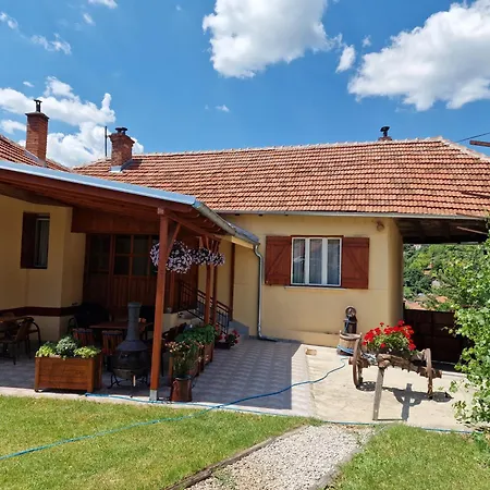 -guest House -ramonda Serbika Country house *
