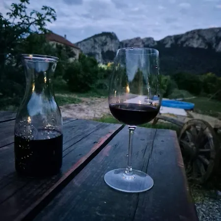 Ramonda Serbica- Peaceful Retreat In Sicevo Gorge *