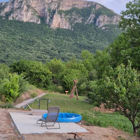 Ramonda Serbica- Peaceful Retreat In Sicevo Gorge
