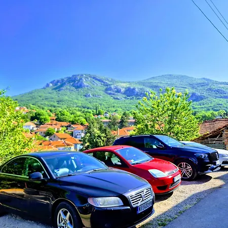 Ramonda Serbica- Peaceful Retreat In Sicevo Gorge Ni