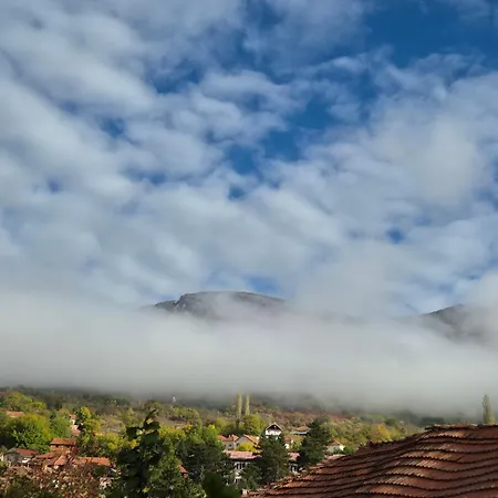 Ramonda Serbica- Peaceful Retreat In Sicevo Gorge