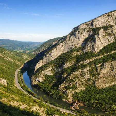 Ramonda Serbica- Peaceful Retreat In Sicevo Gorge Ni