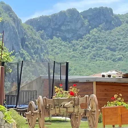 Ramonda Serbica- Peaceful Retreat In Sicevo Gorge Ni