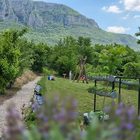 Ramonda Serbica- Peaceful Retreat In Sicevo Gorge