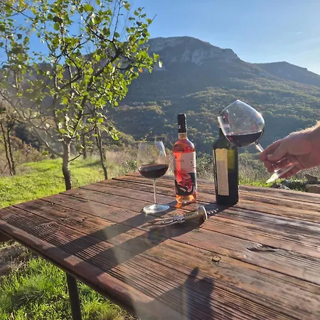 Ramonda Serbica- Peaceful Retreat In Sicevo Gorge