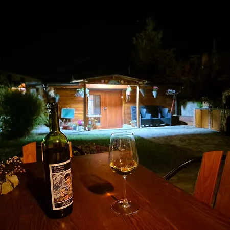 Ramonda Serbica- Peaceful Retreat In Sicevo Gorge Ni