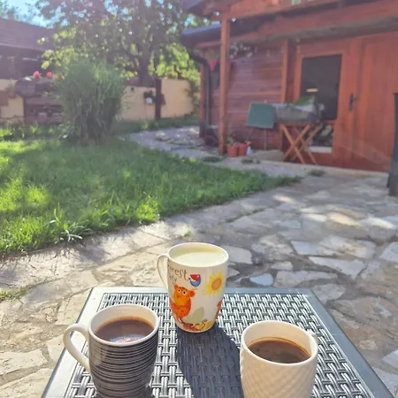Ramonda Serbica- Peaceful Retreat In Sicevo Gorge Ni