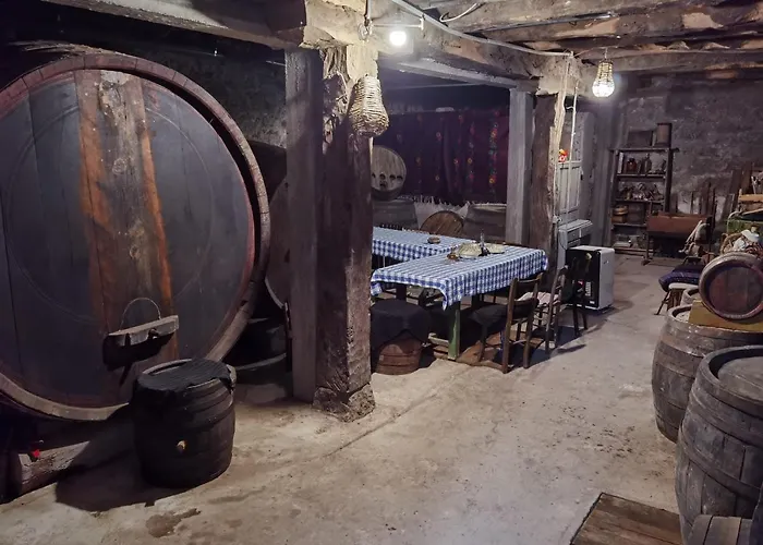 Ramonda Serbica- Peaceful Retreat In Sicevo Gorge