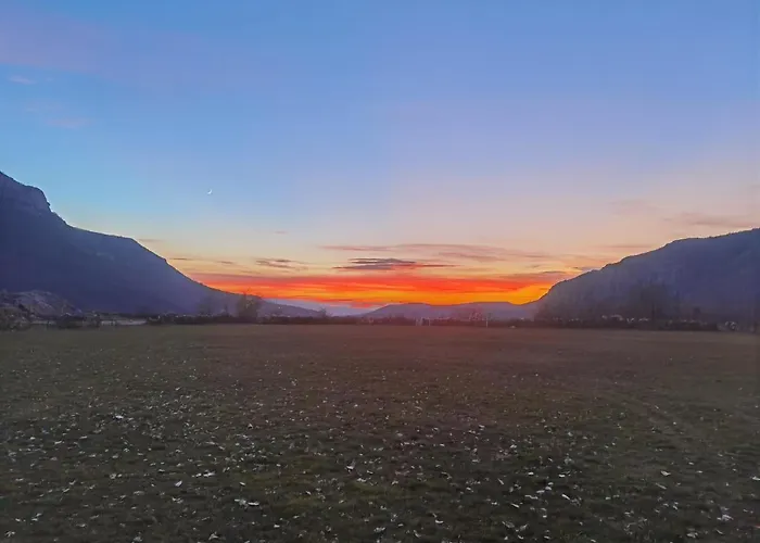 Ramonda Serbica- Peaceful Retreat In Sicevo Gorge *