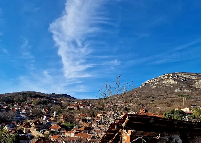 Ramonda Serbica- Peaceful Retreat In Sicevo Gorge *