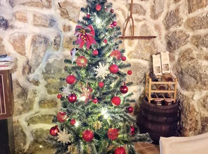 Ramonda Serbica- Peaceful Retreat In Sicevo Gorge