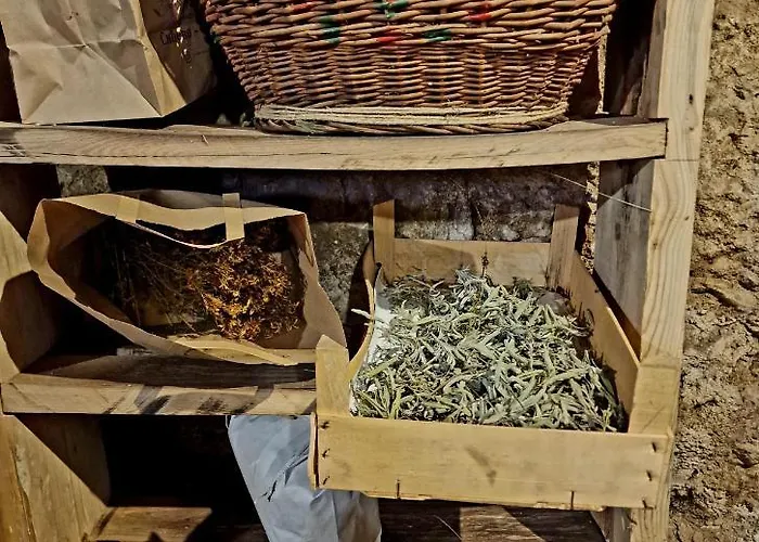 Ramonda Serbica- Peaceful Retreat In Sicevo Gorge * Nis