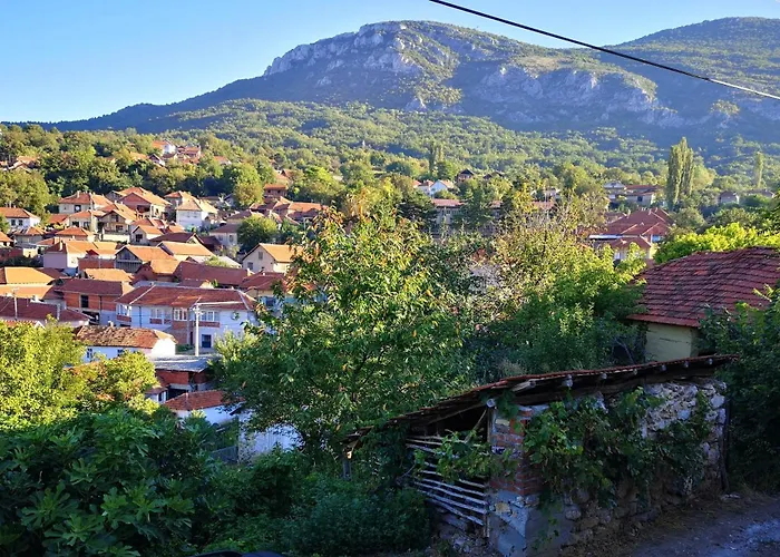Ramonda Serbica- Peaceful Retreat In Sicevo Gorge Seoska kuća *
