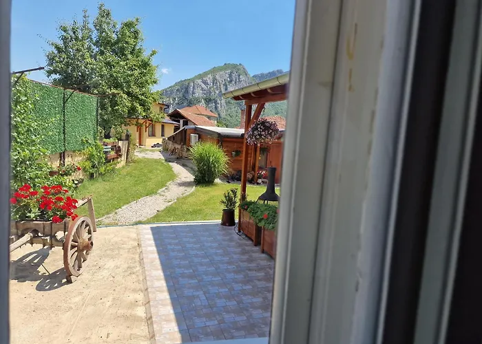 Ramonda Serbica- Peaceful Retreat In Sicevo Gorge *