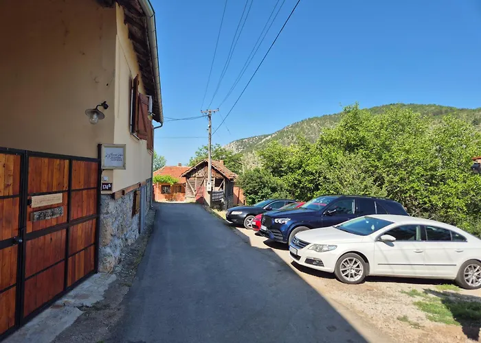 Ramonda Serbica- Peaceful Retreat In Sicevo Gorge