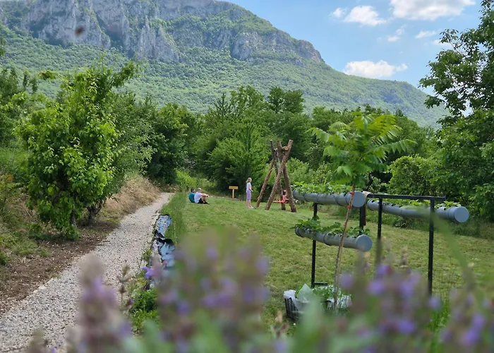 Ramonda Serbica- Peaceful Retreat In Sicevo Gorge