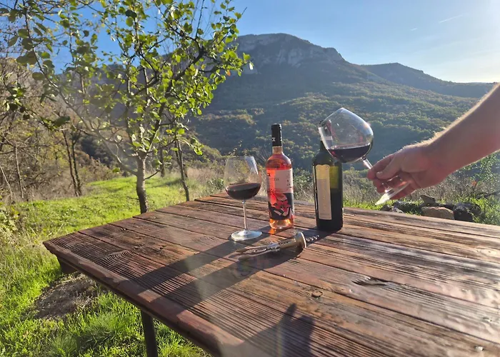 Ramonda Serbica- Peaceful Retreat In Sicevo Gorge