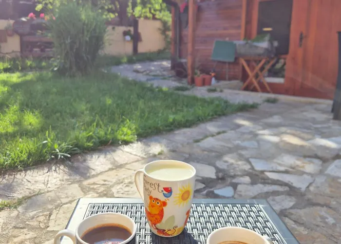 Ramonda Serbica- Peaceful Retreat In Sicevo Gorge Nis